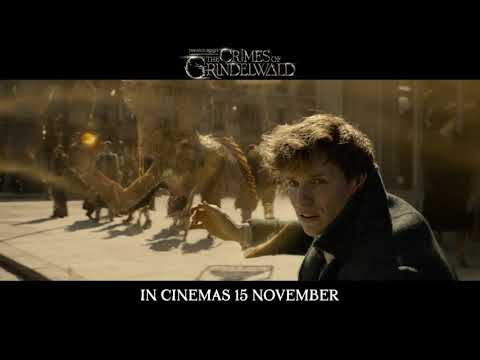 Fantastic Beasts: The