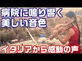 感動！日本人バイオリニストが医療関係者に祈りを込めた演奏にイタリアから感謝の声が殺到【海外の反応】