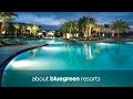 About Bluegreen Resorts 