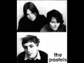 The Pastels - Thank You for Being You.