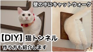 【DIY】ねこ大喜び壁の中にもキャットウォーク猫トンネル作ってみた