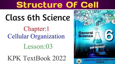 Class 6th Science chapter 1|Celluar Organization| Structure Of Cell | in Pashto|KPK