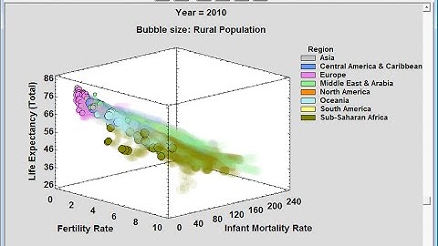 Three-Dimensional Dynamic Data Visualizer