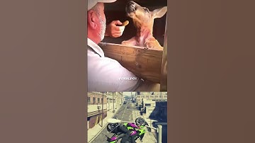 iShowSpeed Finds Out How STRONG Kangaroos Really Are! 😳💪 #Shorts