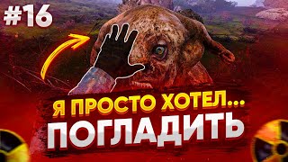 Сталкер Чистое Небо REDUX (LFO) Рыжий Лес #16 Полное Прохождение