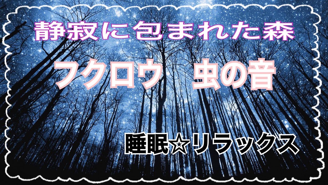 【睡眠☆癒し】静寂に包まれた森とフクロウの鳴き声、虫の音、Owl、ヒーリングで心と身体をリラックス☆