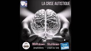 Crise autistique : meltdown et shutdown