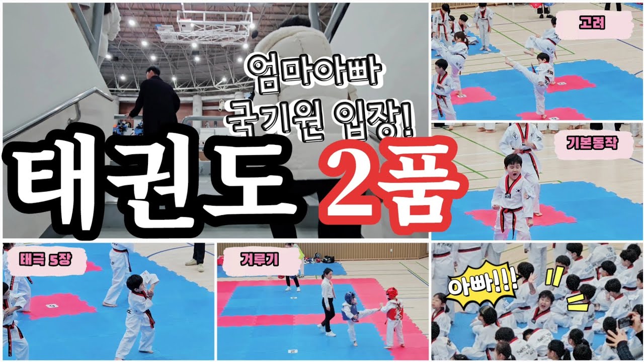 태권도/국기원심사/2품/품새/고려/겨루기/초등1학년/경기광주/스타태권도태전 YouTube