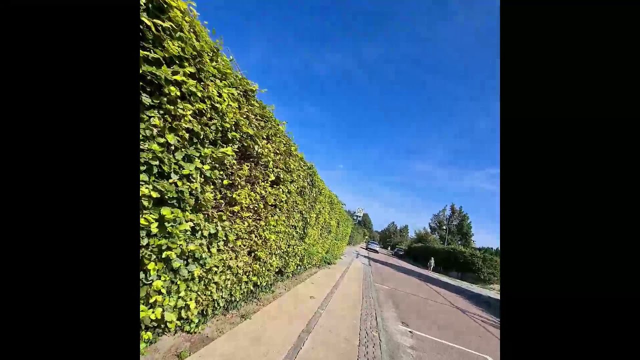 BodyCam – Virum to Lundtofte via Brede. A walk through the suburbs north of Copenhagen, Denmark.
