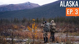 On The Search For A Legal MOOSE | Alaska Moose & Caribou (EP. 3)