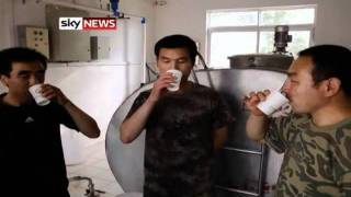 Breast Is Best: Chinese Cows Produce Human Milk