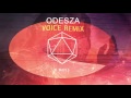Odesza voice remix jk waves