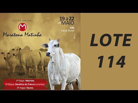 LOTE 114