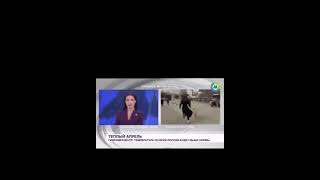 dog steals reporter’s microphone LIVE