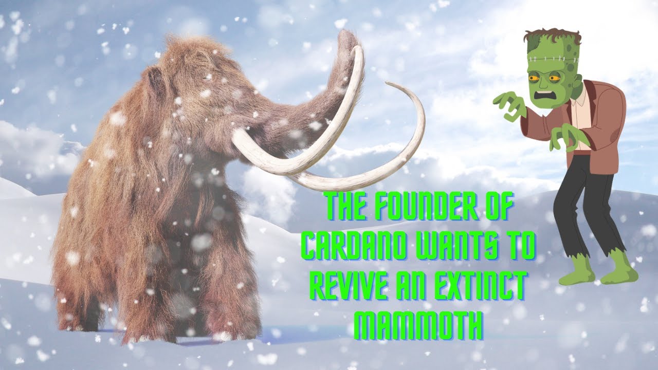 the-founder-of-cardano-wants-to-revive-an-extinct-mammoth-youtube