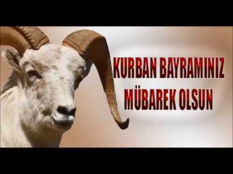 Kurban Bayramı Nedir? Neden Kurban Kesilir?