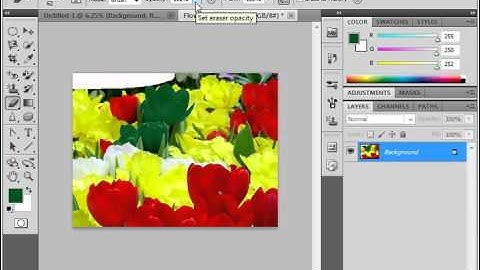 Photoshop CS5 Tutorial The Eraser Tool Adobe Training Lesson 5.6