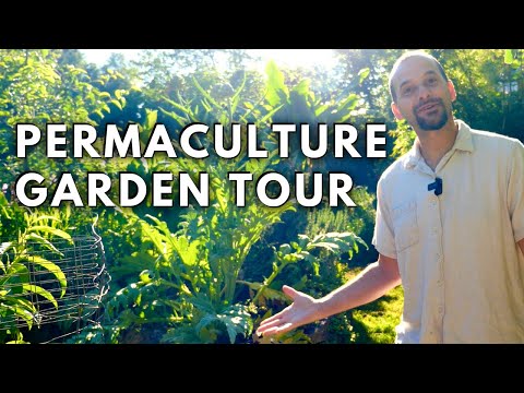Permaculture Garden Tour: