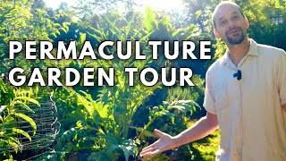 Permaculture Garden Tour: YEAR 12