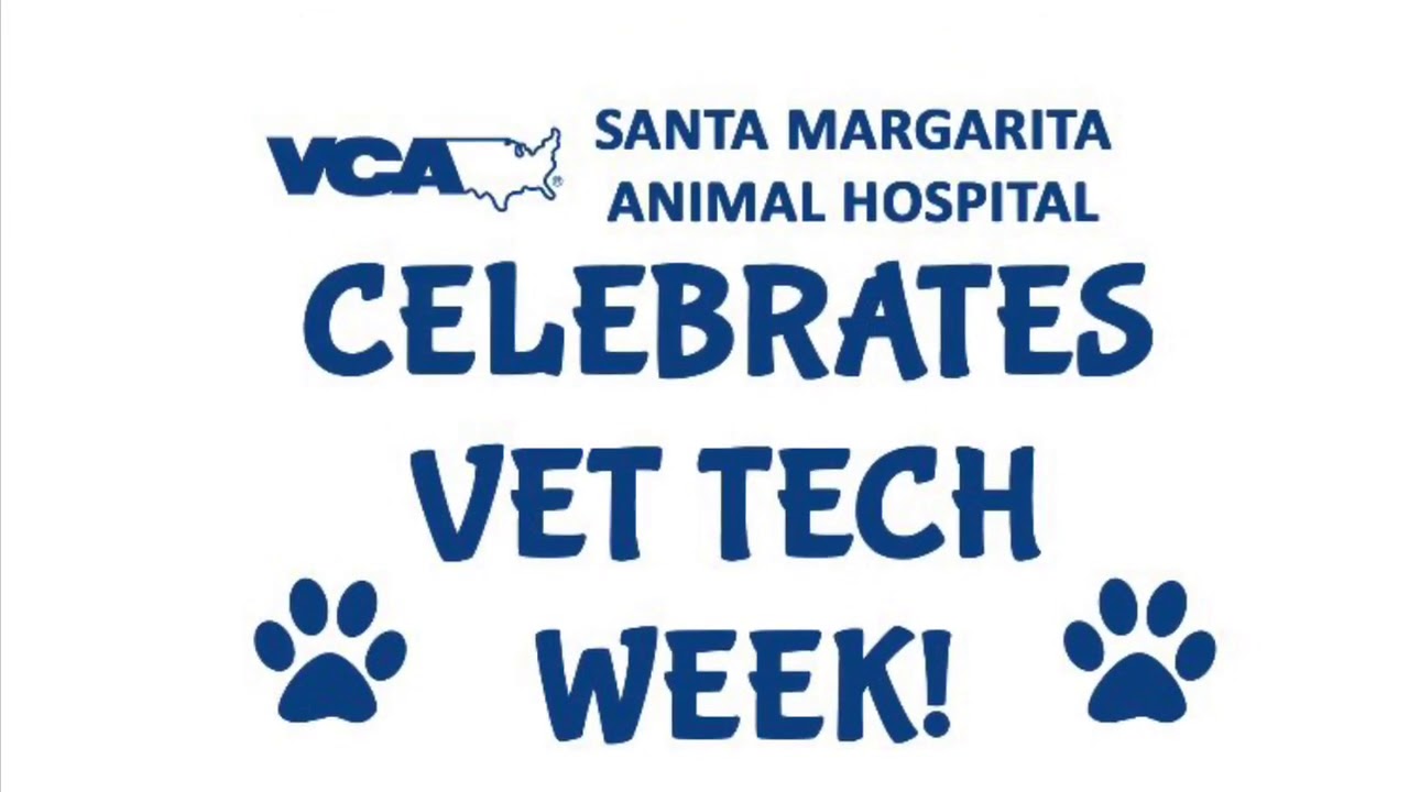 Happy Vet Tech Appreciation Week! YouTube