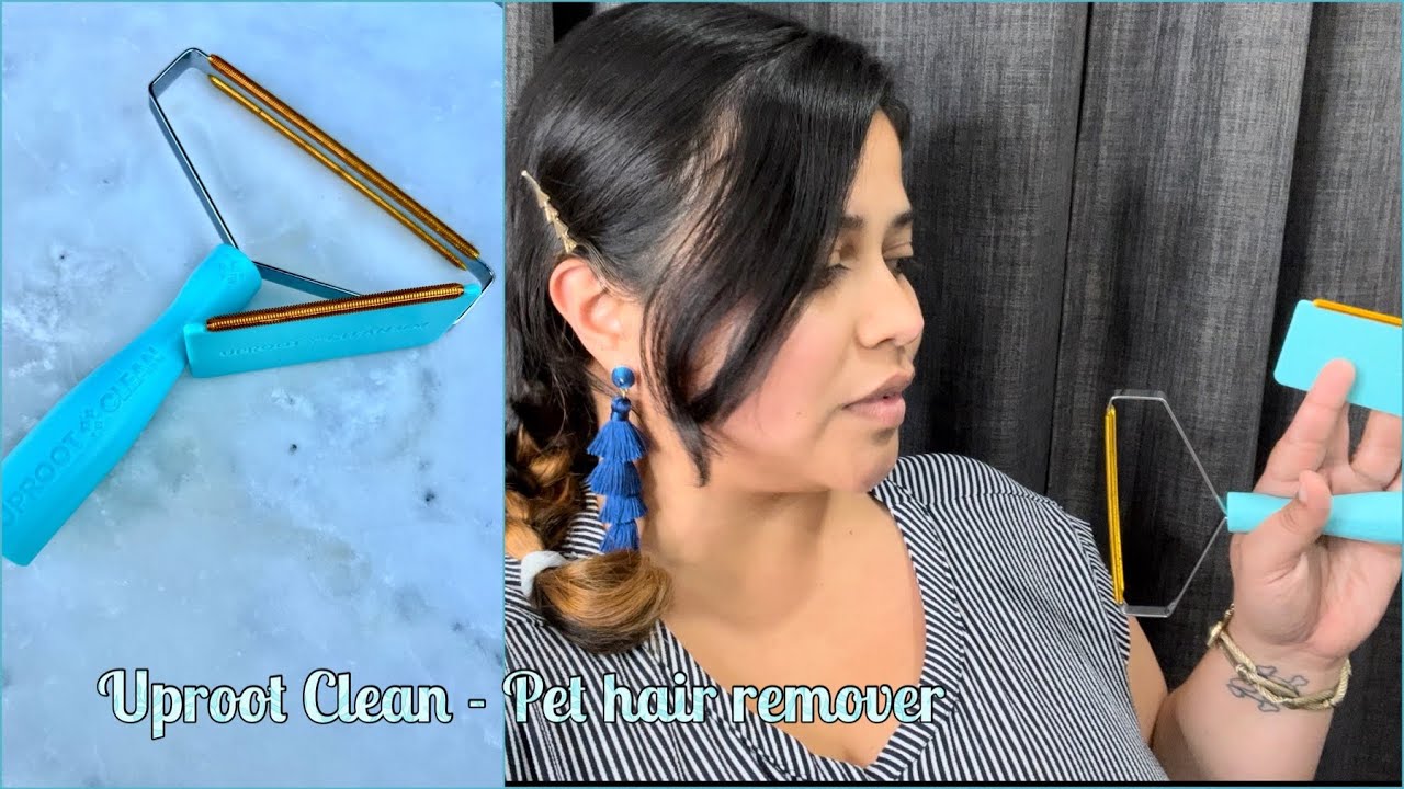 Uproot clean furniture dog hair removal review Malamute tested YouTube