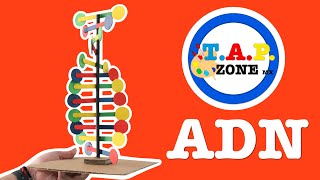Como Hacer La Maqueta Del Adn - Tap Zone Mx Ep.9