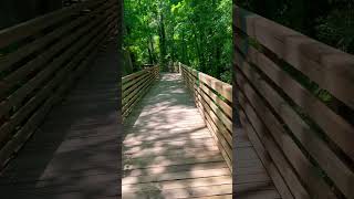 Hiking Eureka Springs Tampa Florida AFT 2024 🔥🆙 #florida #trevdevadventures #hiking