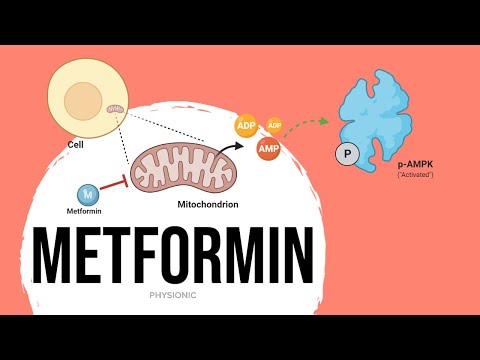 Video: Metformin Vid Kolorektal Cancer: Molekylär Mekanism, Prekliniska Och Kliniska Aspekter