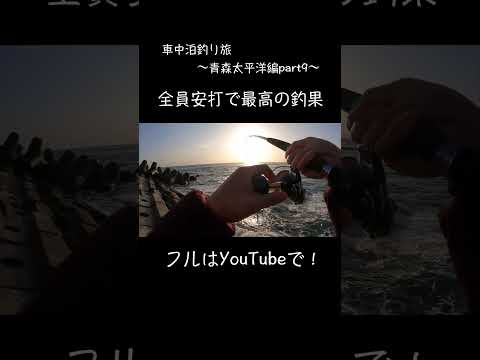 車中泊釣り旅〜青森太平洋編part9〜 #45fishing #車中泊 #shorts #釣り #tiktok #切り抜き