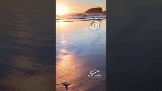 The Impact of Breathing Patterns on Emotion and Wellbeing