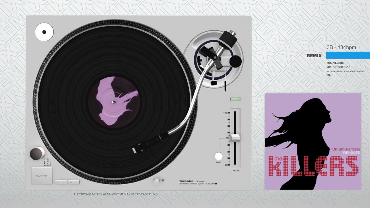The Killers - Mr. Brightside (Jacques Lu Cont's Thin White Duke