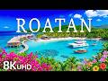 Roatan 8K UHD | Stunning Beaches, Overwater Villas &amp; Caribbean Ocean Views