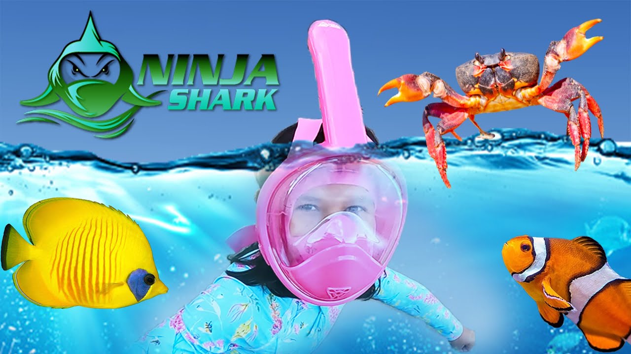 Zoe's First Time Using Ninja Shark Full Face Mask Kids Sea Creatures  Underwater WOW! 