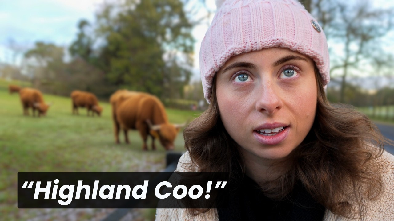 We Finally Saw a Highland Cow… in Glasgow
