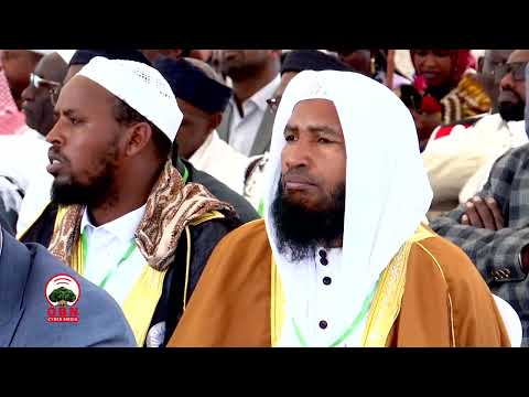 Buufanni Xiyyaaraa Yaaballoo Damee Turiziimii Guddisuuf Gumaacha Qaba