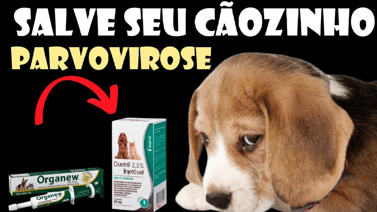 Como tratar a PARVOVIROSE em casa - 100% COMPROVADO! - YouTube