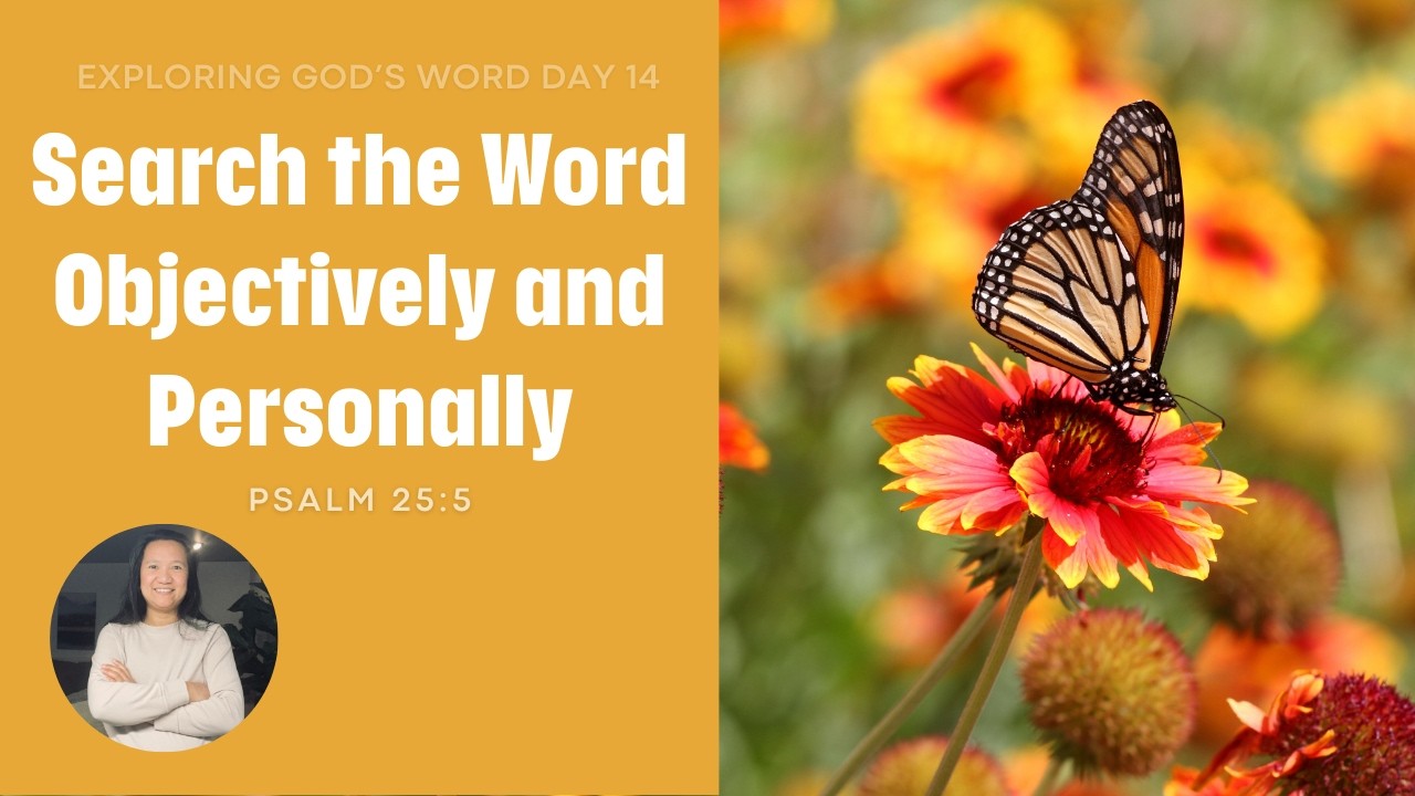 Search the Word Objectively and Personally | Psalm 25:5 | Daily Devotional