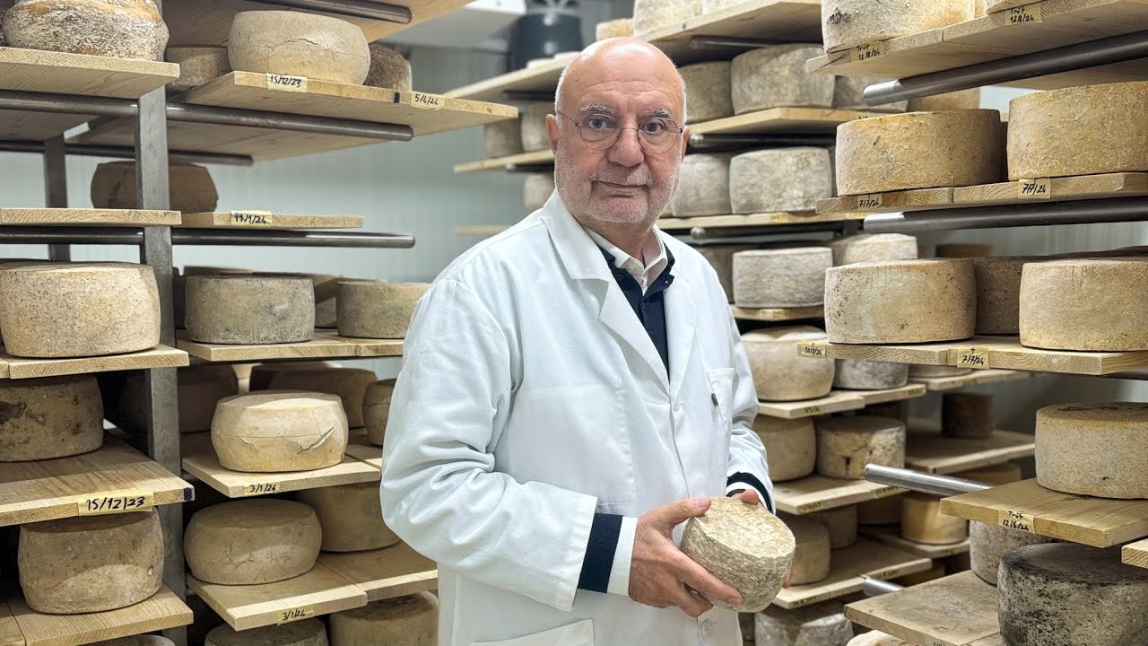 От фотографии до кустарного производства сыра | Сыры Чанаккале Гемедере