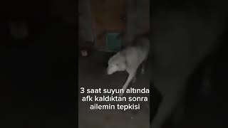 Izlemem Gereken Video