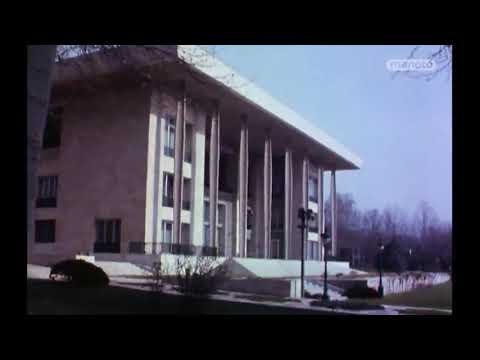 رفتن شاه از ایران ویدئوی تازه منتشر شده