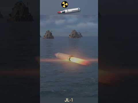 Chinese Jl-1 nuclear