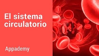 Sistema power humano circulatorio sobre point