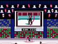 Evolution of NES Hockey