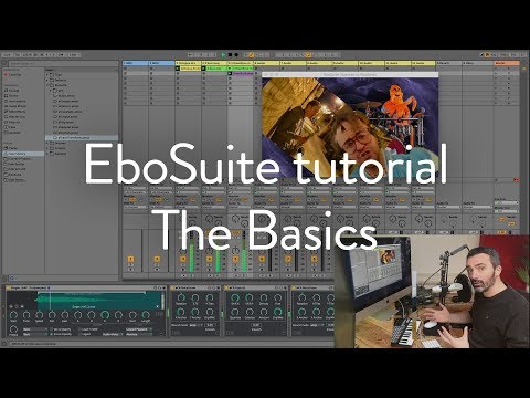 EboSuite tutorial - The Basics
