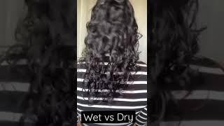 WET HAIR VS DRY HAIR