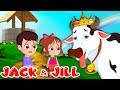 Jack and jill nursery rhymes  kids songs with lyrics  went up the hill  flickbox