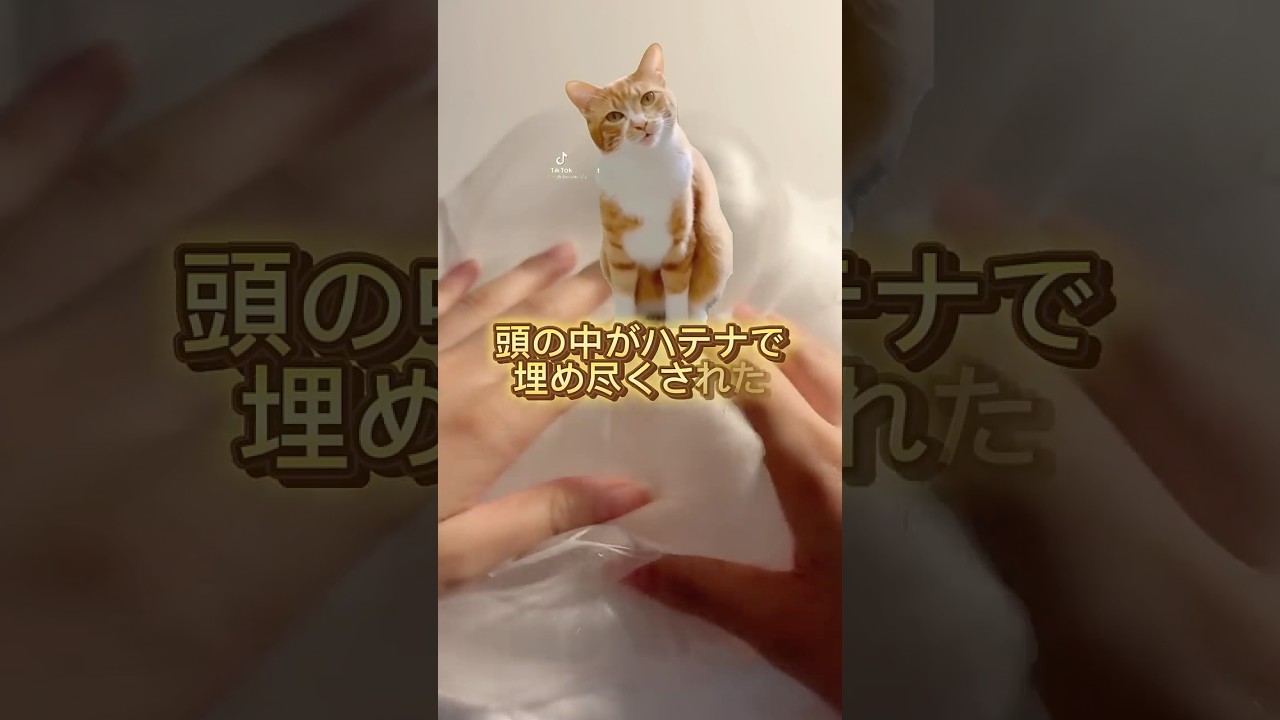 初めて来た企業案件が衝撃すぎた話