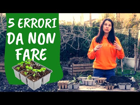 SEMENZAIO: 5 errori