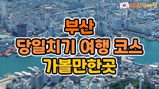 지금 가볼만한 부산 당일치기 여행코스 | 국내여행추천, 부산가볼만한곳, 부산명소