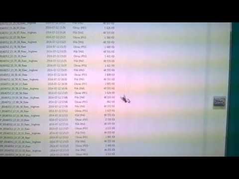 fly vs cursor